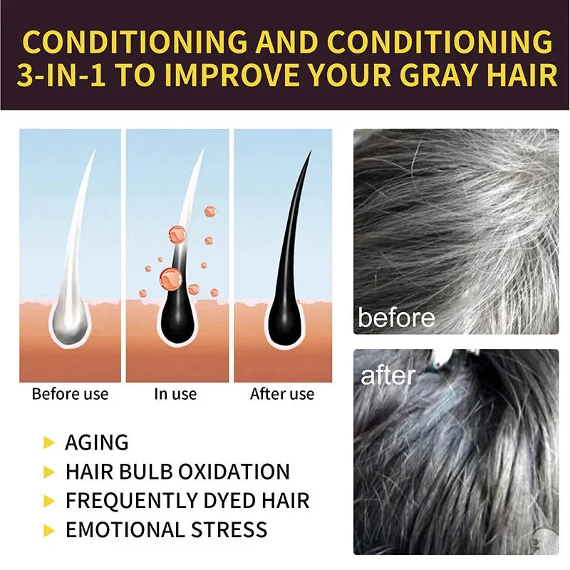 3-in-1 Herbal Hair Color Shampoo for Gray Hair Care 20240226