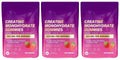 Creatine Monohydrate Collagen BCAA Workout Support Gummies