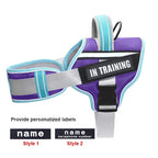 Adjustable Nylon Dog Harness with Neck Guard and Reflective Breathable Mesh Vest