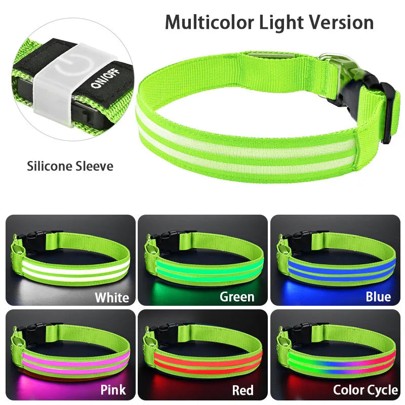 Rechargeable LED Dog Collar with Harness Connector and Leash Ring for Night Walks