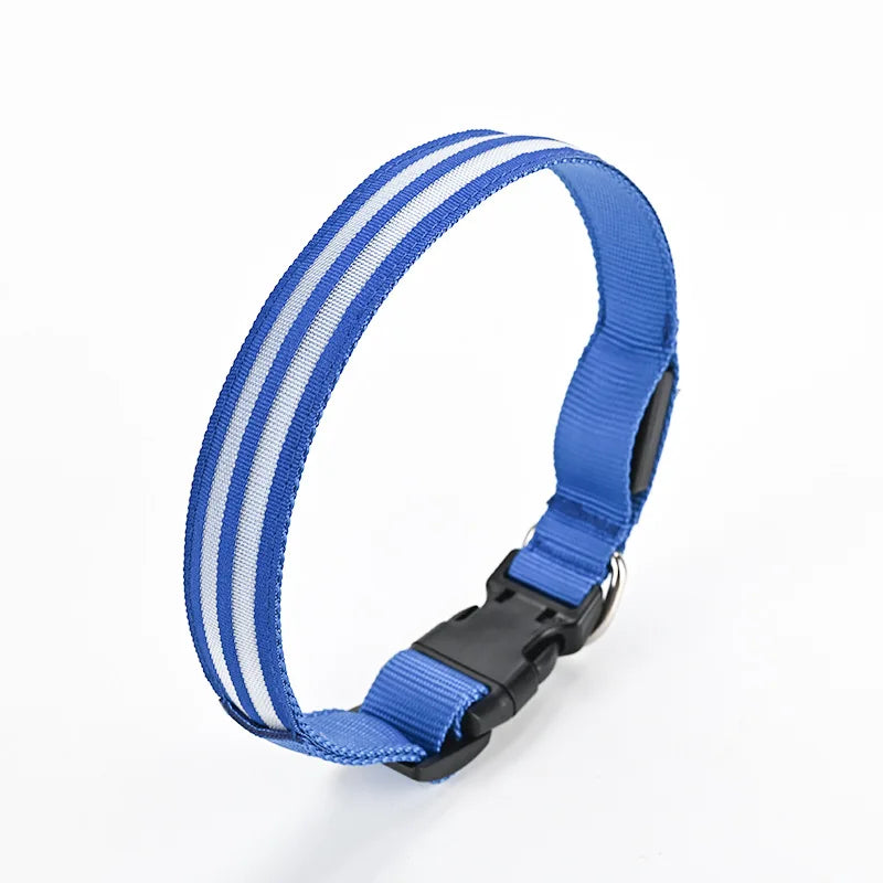 Rechargeable LED Dog Collar with Harness Connector and Leash Ring for Night Walks