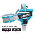 Adjustable Nylon Dog Harness with Neck Guard and Reflective Breathable Mesh Vest