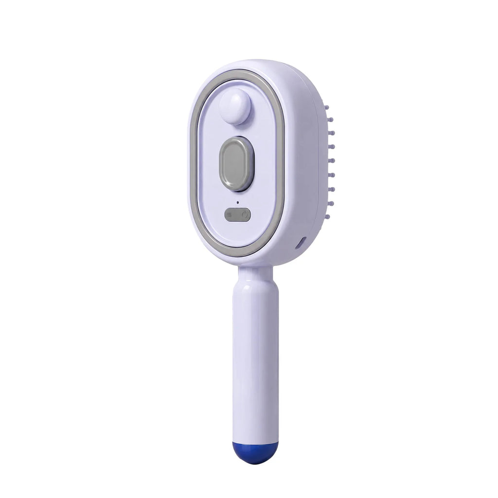 Electric Spray Air Cushion Massage Hair Straightener Steaming Comb