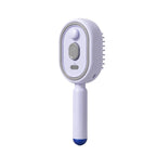 Electric Spray Air Cushion Massage Hair Straightener Steaming Comb