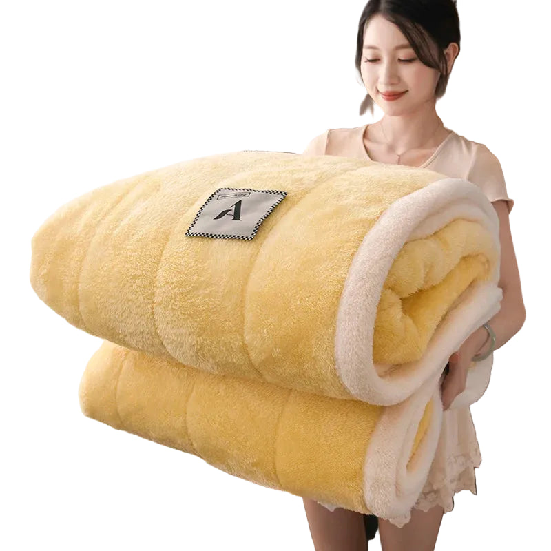 Thick Warm Milk Velvet Blanket and Soft Winter Plush Throw