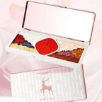 20-Piece Makeup Set Full Kit Lipstick Eyeshadow Gift Collection