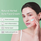 Blackhead Remover Face Cream Enlarged Pores Removal Oil Control Pore Shrinkage Facial Cream Skin Care Set Beauty Health