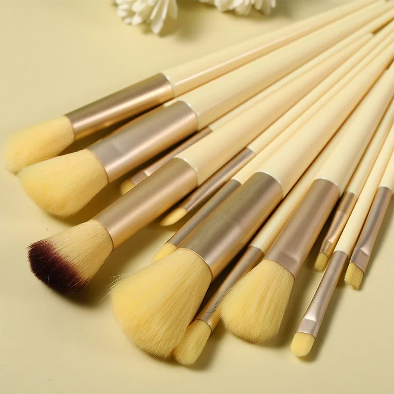 13Pcs Makeup Brush Set – Eyeshadow, Foundation & Blush Cosmetic Brushes with Travel Bag