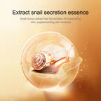 Snail Eye Cream  Moisturizing  Eyes Skin Care Products