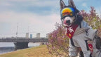 Dog Fashion Sports Sunglasses with Adjustable Strap Anti-Fog Pet Goggles