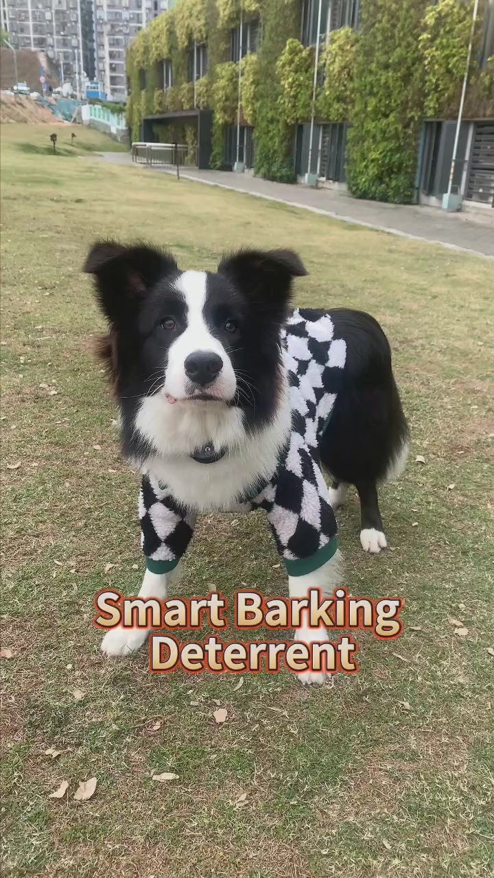 Rechargeable Anti-Bark Dog Training Collar Waterproof IPX5 Automatic Beep & Shock