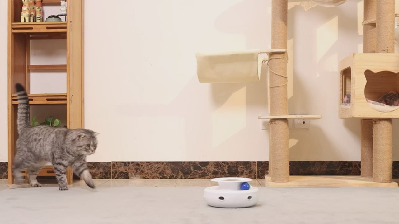 2-in-1 Automatic Cat Toy with Feather Wand and Fun Ball, 5 Modes