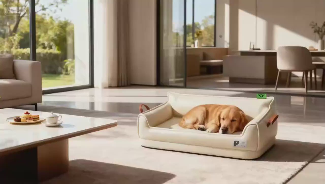 Orthopedic Leather Dog Bed Sofa with Non-Slip Bottom and Waterproof Washable Cushion